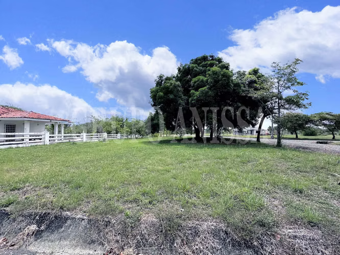 Se Vende Terreno de Esquina en la Colonia Chame - Imagen 2