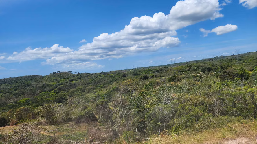 Finca de 24has en El Higo, La Agustina