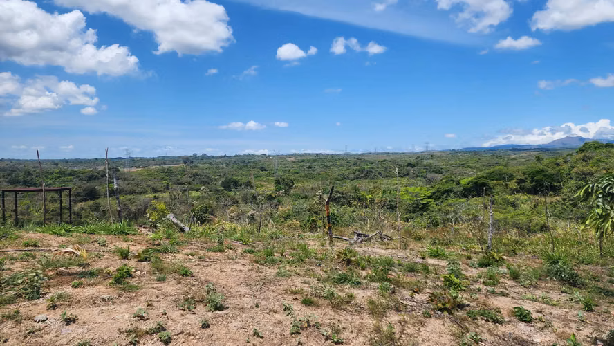 Finca de 24has en El Higo, La Agustina