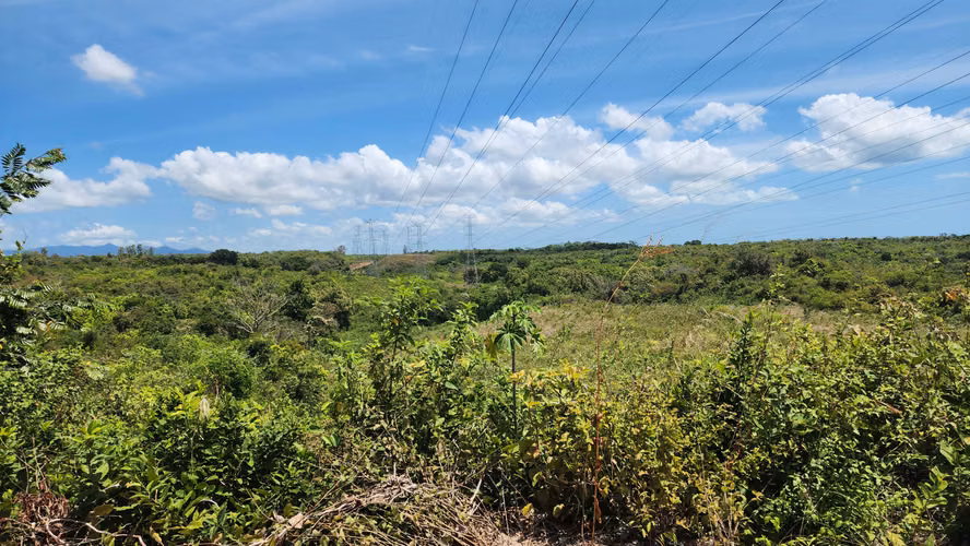 Finca de 24has en El Higo, La Agustina