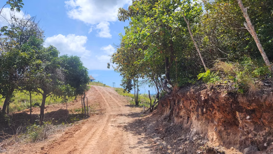 Finca de 24has en El Higo, La Agustina