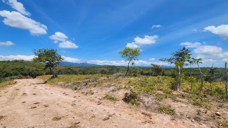 Finca de 24has en El Higo, La Agustina