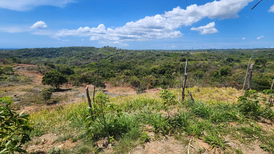 Finca de 24has en El Higo, La Agustina