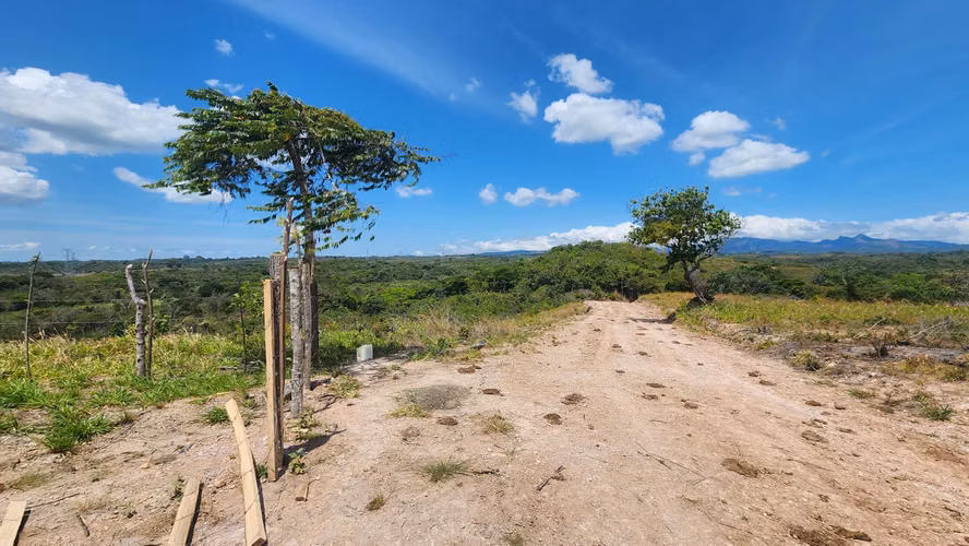 Finca de 24has en El Higo, La Agustina