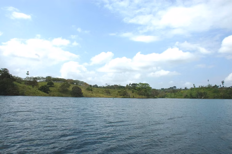 Venta de Finca en Chepo, Lago Bayano, 97 hectáreas