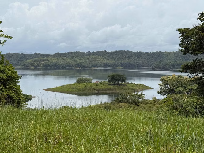Venta de Finca en Chepo, Lago Bayano, 97 hectáreas