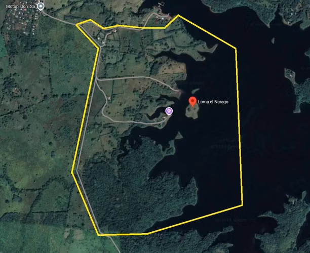 Venta de Finca en Chepo, Lago Bayano, 97 hectáreas