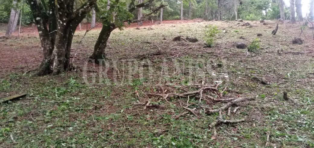 OPORTUNIDAD! Se vende Terreno en Toscana Altos del Maria - Imagen 2