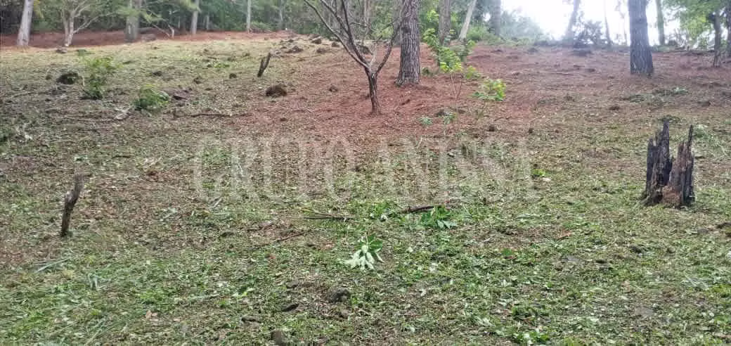 OPORTUNIDAD! Se vende Terreno en Toscana Altos del Maria - Imagen 4