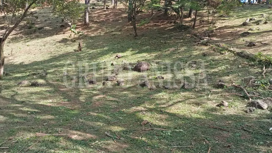 OPORTUNIDAD! Se vende Terreno en Toscana Altos del Maria - Imagen 3