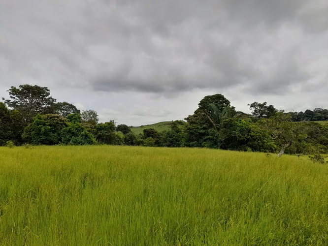 Venta de Finca en Chorrera, La Mendoza, 13 hectáreas