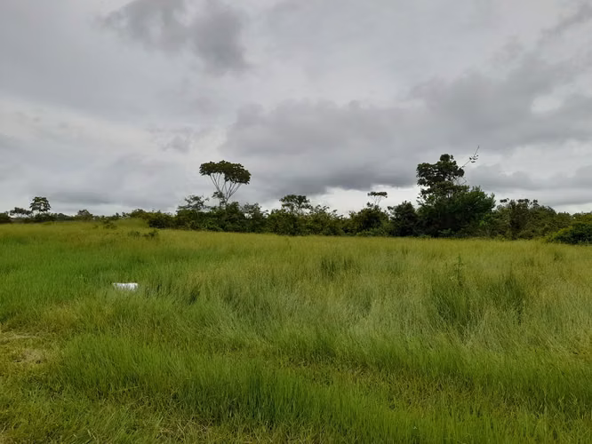 Venta de Finca en Chorrera, La Mendoza, 13 hectáreas