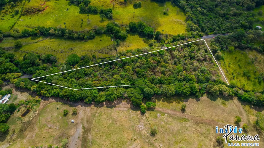Spacious Land in Gualaca Chiriqui Panama