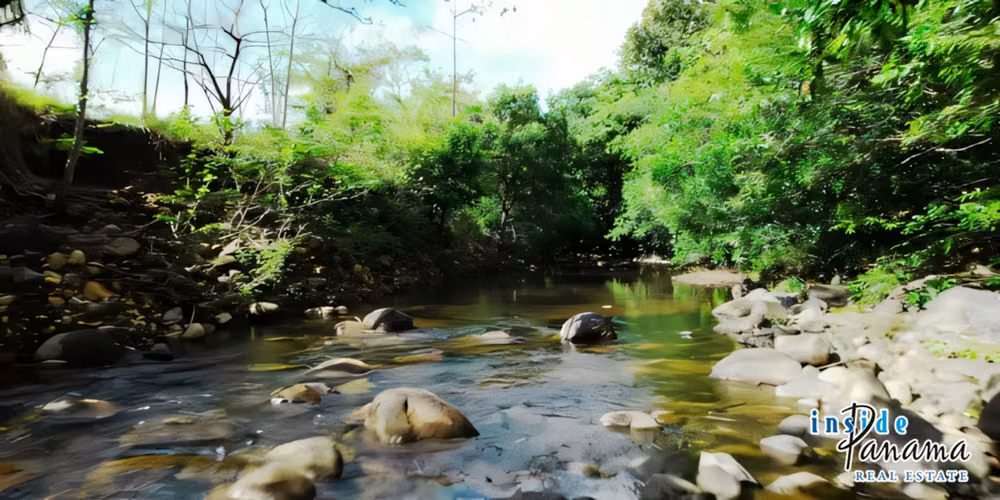 Amplio Terreno en Gualaca, Chiriquí, Panamá