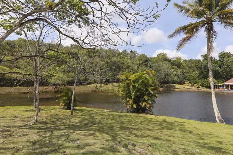 Brisas del Lago, Chorrera - Se Alquila hermosa casa