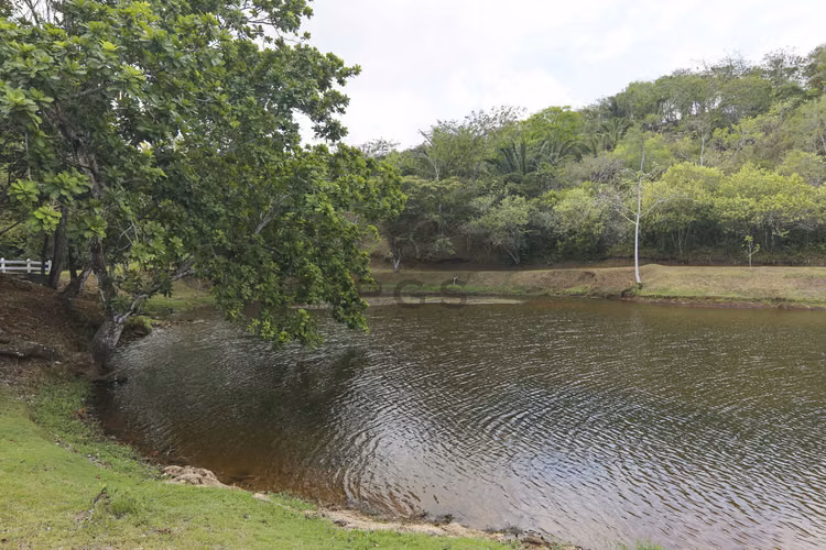 Brisas del Lago, Chorrera - Se Alquila hermosa casa