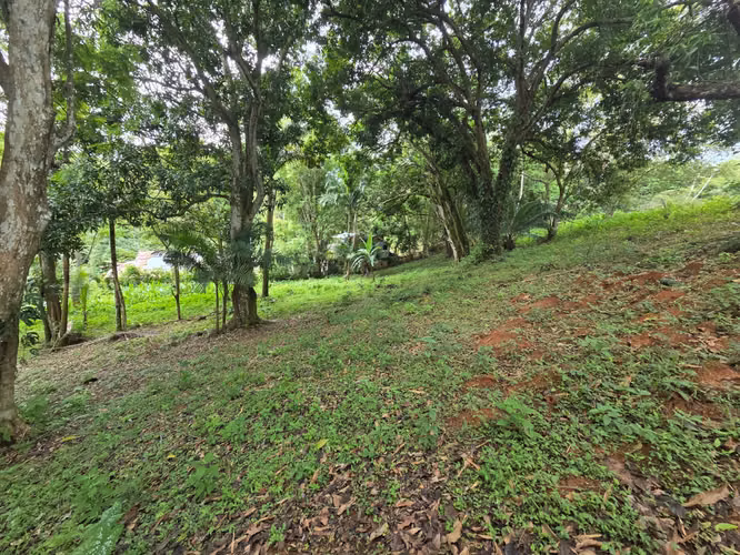 ARRAIJAN CACERES TERRENO EN VENTA