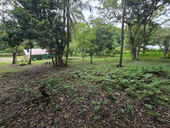 ARRAIJAN CACERES TERRENO EN VENTA