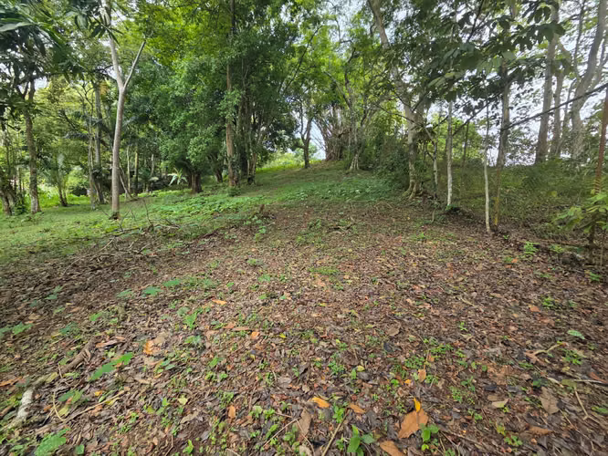 ARRAIJAN CACERES TERRENO EN VENTA