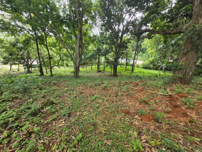 ARRAIJAN CACERES TERRENO EN VENTA