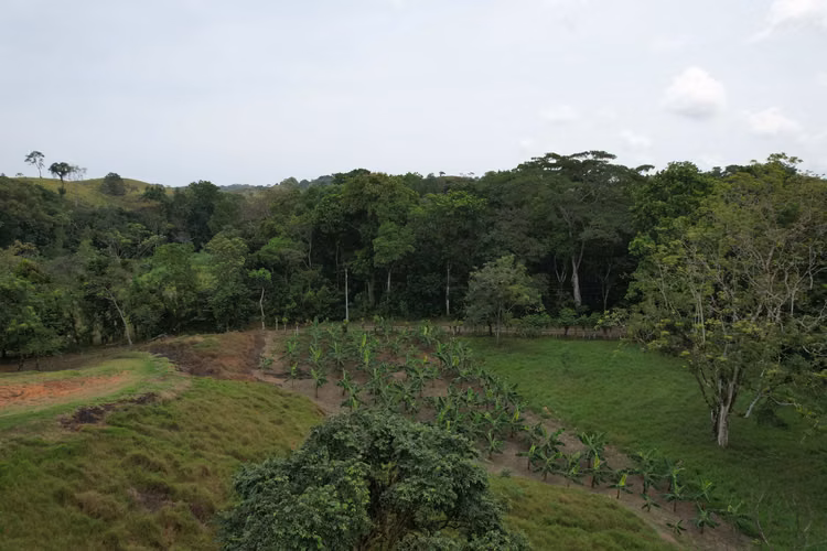 Se vende finca en Viento Frío, Santa Isabel