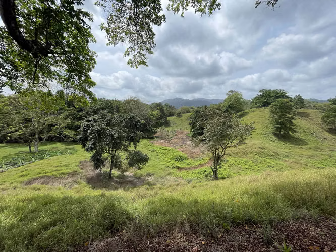 Se vende finca en Viento Frío, Santa Isabel
