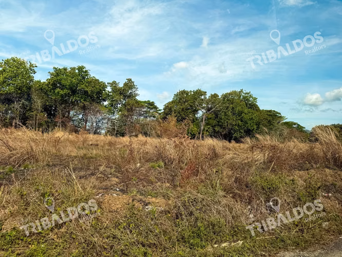 Venta de Terreno de 29Ha en Pacora