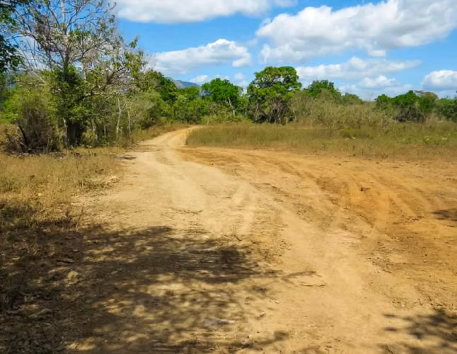 Venta de Terreno de 29Ha en Pacora - Imagen 7