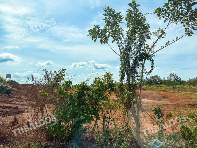 Venta de Terreno de 29Ha en Pacora