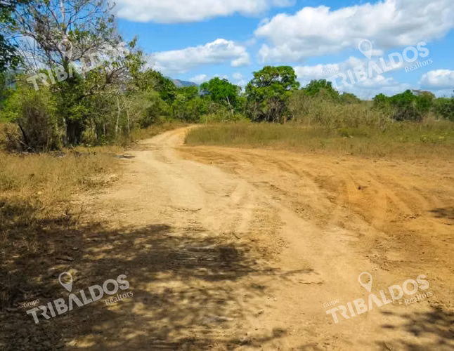 Venta de Terreno de 29Ha en Pacora