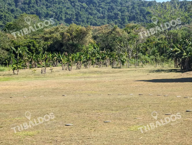 Venta de Isla en Panamá, Isla Cébaco