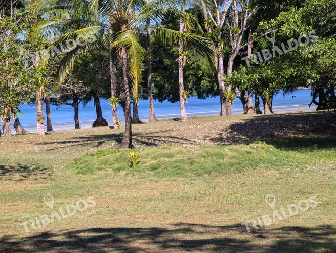 Venta de Isla en Panamá, Isla Cébaco