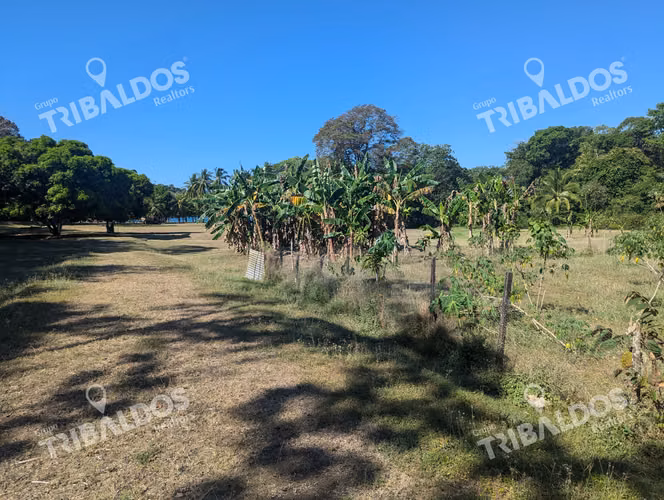Venta de Isla en Panamá, Isla Cébaco
