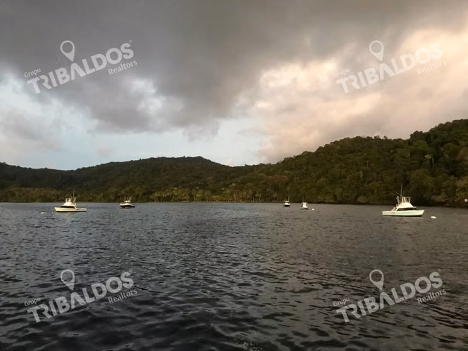 Venta de Isla en Panamá, Isla Cébaco
