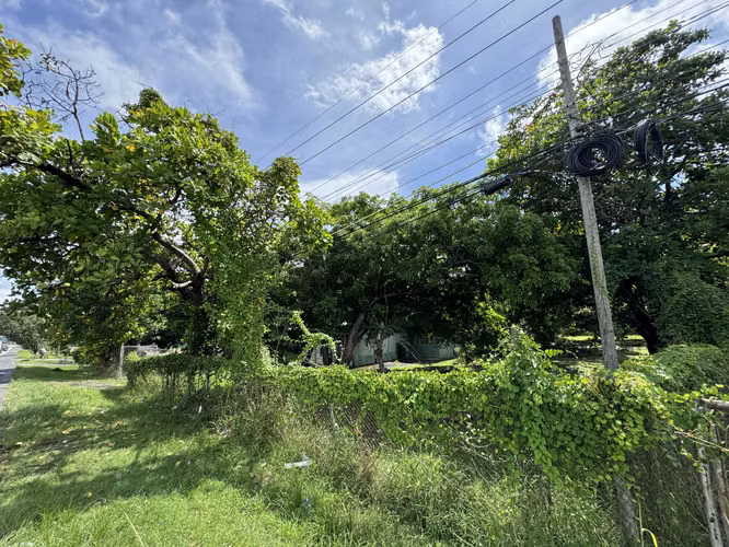 Vendo Terreno en la Via Panamericana - Chame - Imagen 8