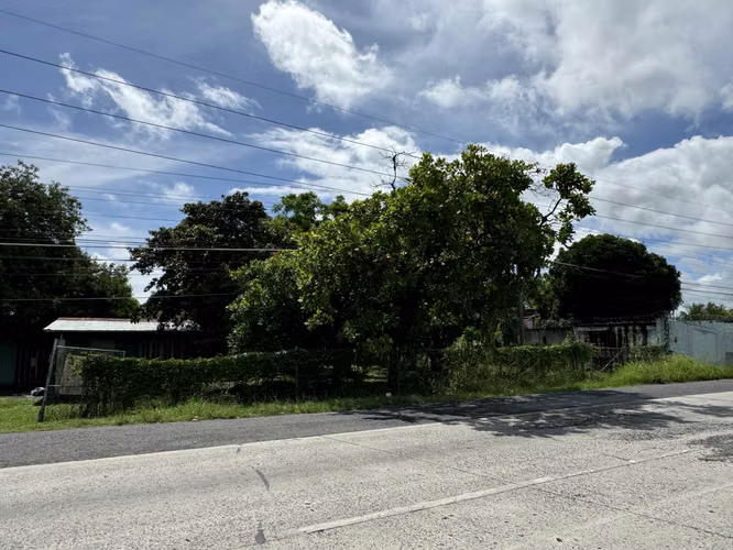 Vendo Terreno en la Via Panamericana - Chame - Imagen 13