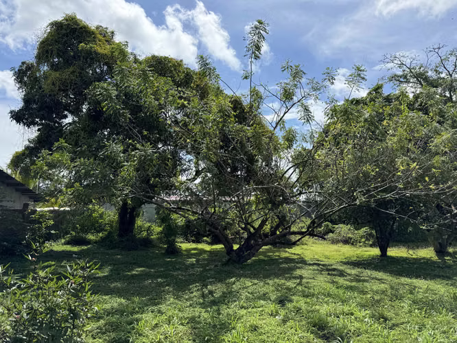 Vendo Terreno en la Via Panamericana - Chame - Imagen 18