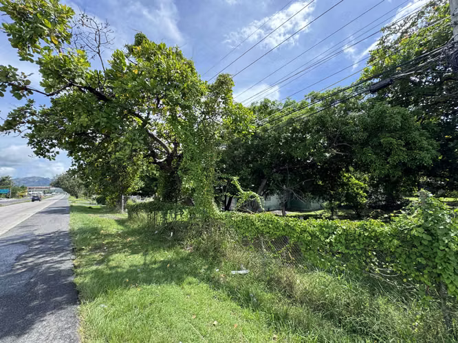 Vendo Terreno en la Via Panamericana - Chame - Imagen 9