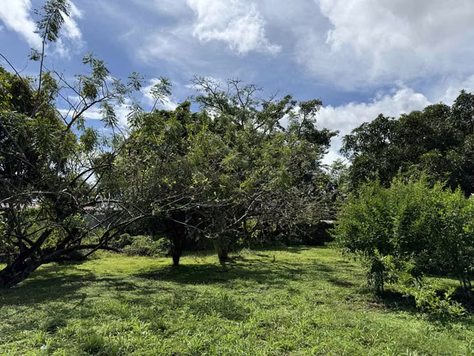 Vendo Terreno en la Via Panamericana - Chame - Imagen 19