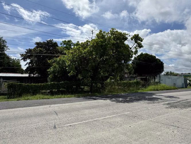 Vendo Terreno en la Via Panamericana - Chame - Imagen 14