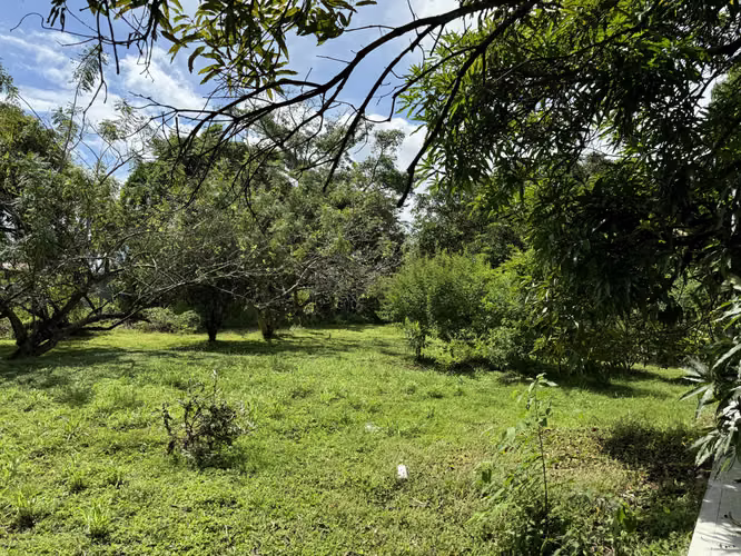 Vendo Terreno en la Via Panamericana - Chame - Imagen 16