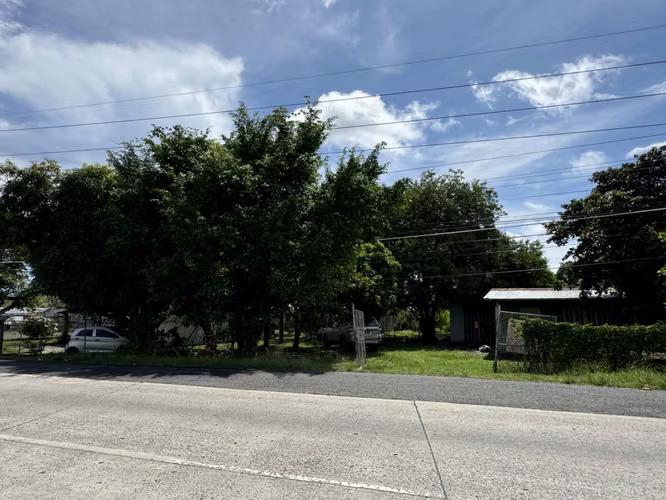 Vendo Terreno en la Via Panamericana - Chame - Imagen 15