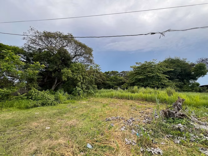 Terreno en Venta - Monte Lirio, Coclé
