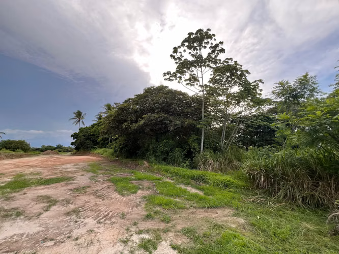 Terreno en Venta - Monte Lirio, Coclé
