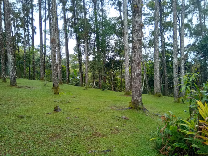 CERRO AZUL CASA EN ALQUILER