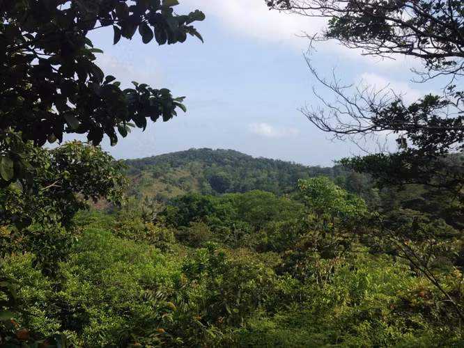 Se vende terreno  ubicado en el caribe panameño-Colón - Imagen 18