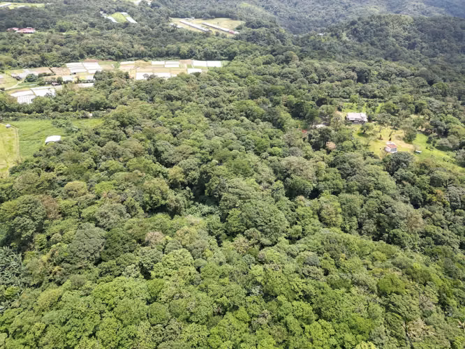 Venta de Finca en La Mesa, El Valle de Antón, 31 Hectáreas
