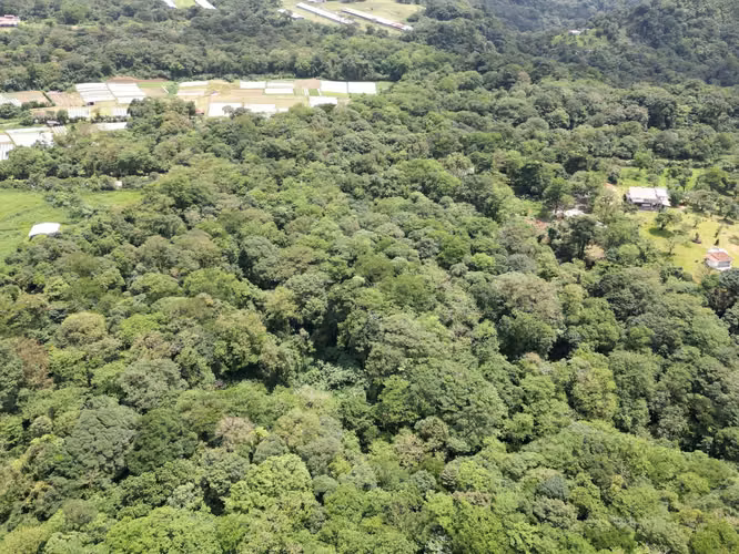 Venta de Finca en La Mesa, El Valle de Antón, 31 Hectáreas