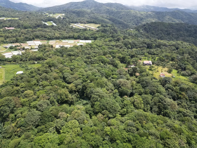 Venta de Finca en La Mesa, El Valle de Antón, 31 Hectáreas