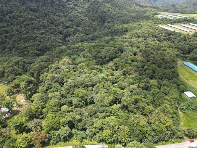 Venta de Finca en La Mesa, El Valle de Antón, 31 Hectáreas